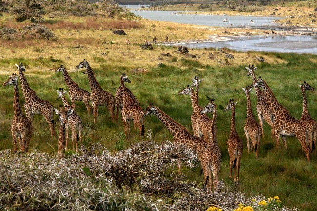 Parque Nacional de Arusha