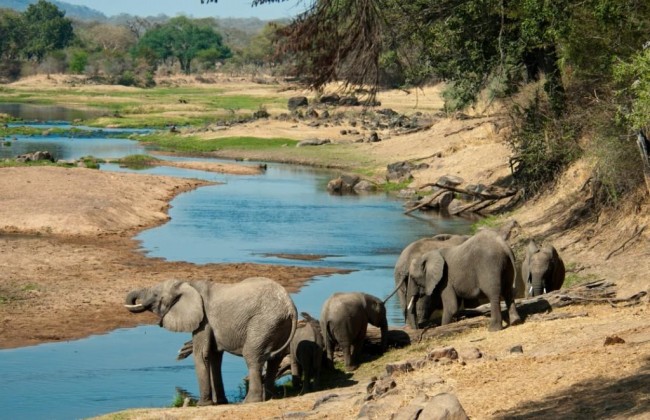 Parque Nacional Ruaha