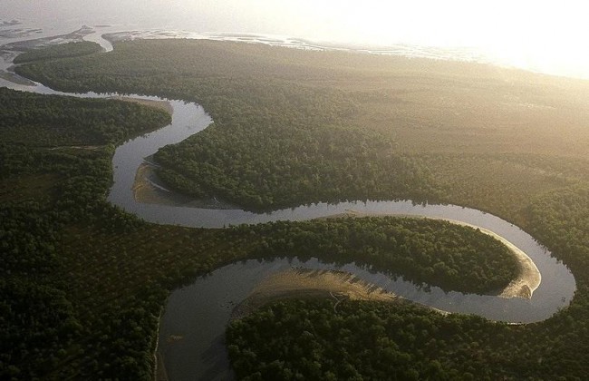 Parque Nacional Nyerere (Selous)