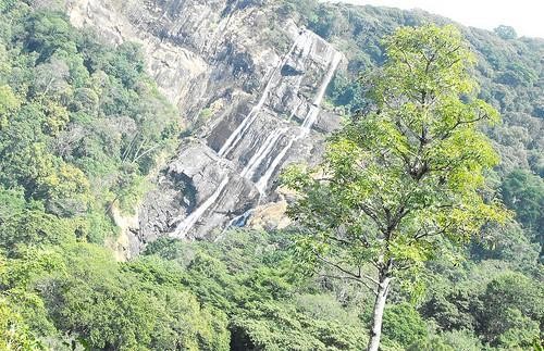 Parque Nacional Montañas de Udzungwa